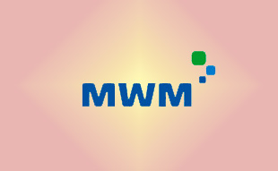 ✓ MWM 42296405 Крыльчатка  